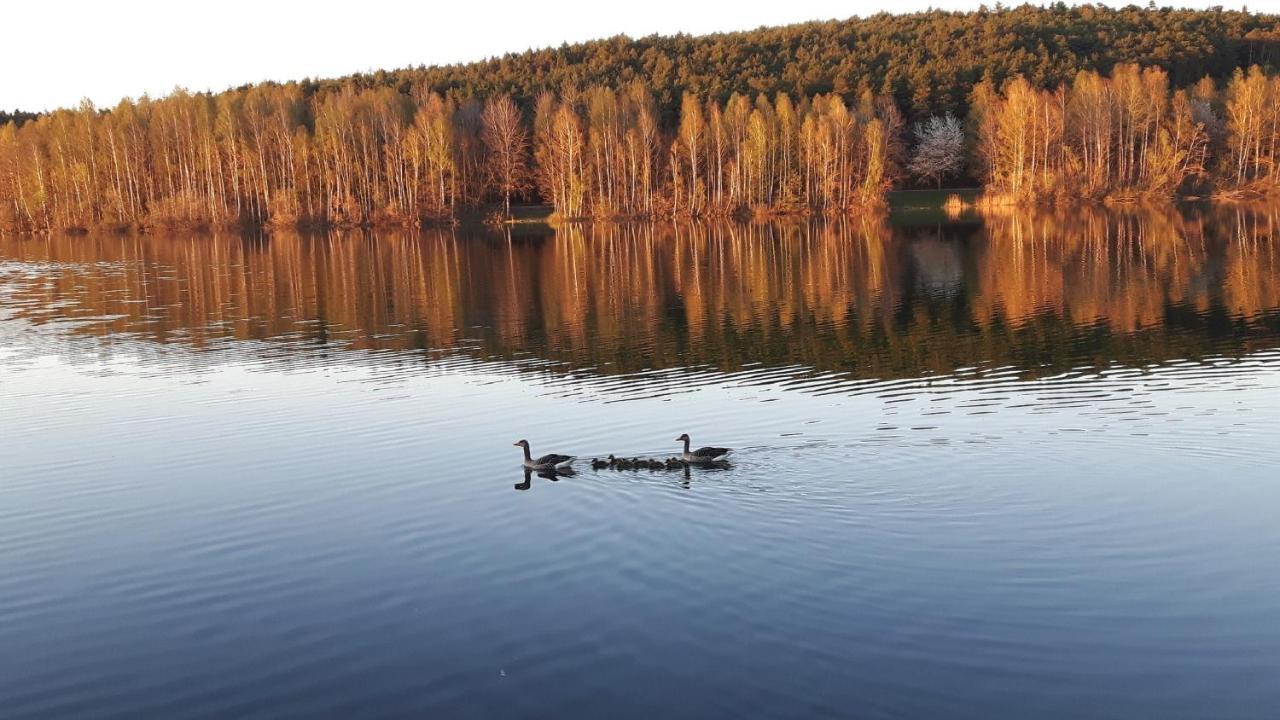 Ferienwohnung Schwalbennest Am Igelsbachsee Absberg Esterno foto